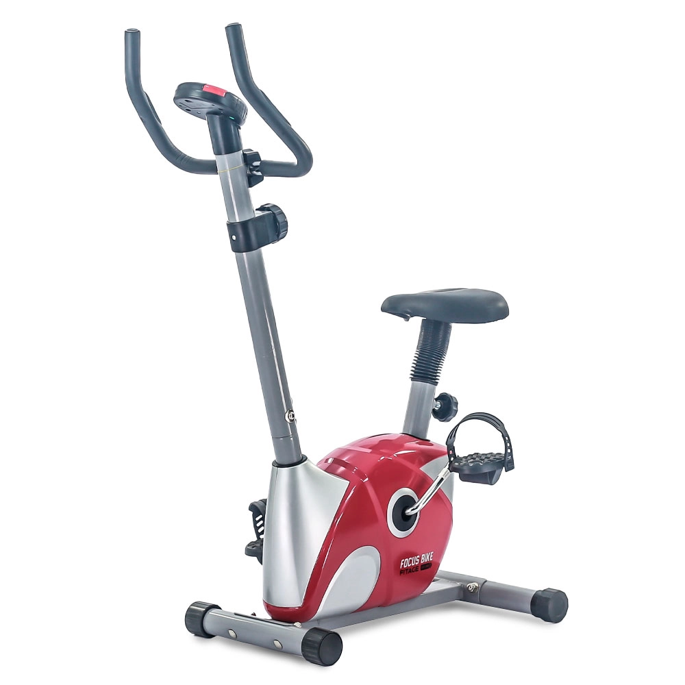 FOCUS BIKE_2